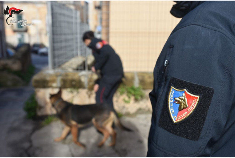 Armi E Droga Sei Arresti A Palermo Tiscali Notizie