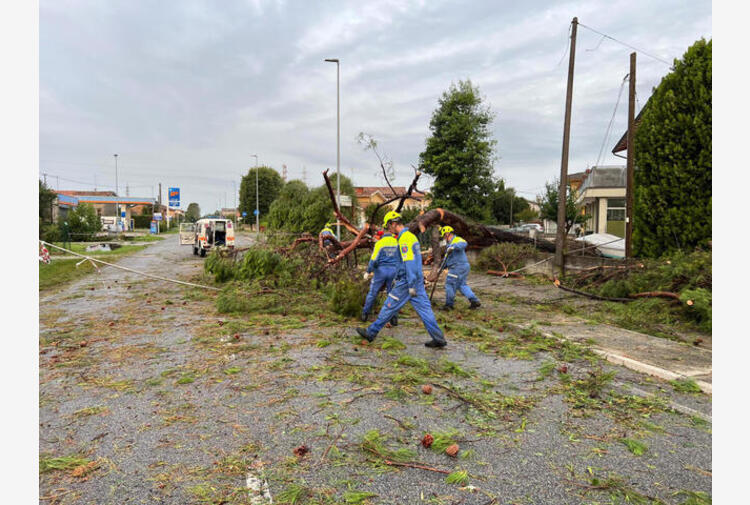 Volontario Della Protezione Civile Muore Travolto Da Una Ceppaia