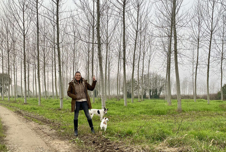 Piantare alberi salverà il pianeta o forse no Tiscali Ambiente