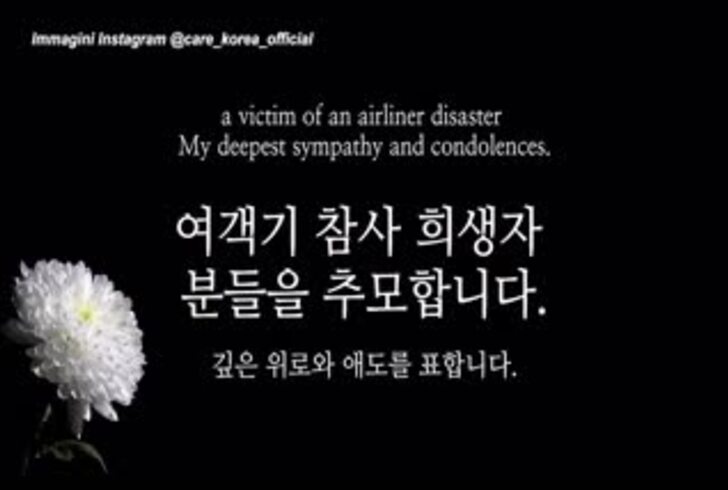 In cerca di famiglia: il commovente appello per il cane rimasto solo dopo il disastro aereo in Corea In cerca di famiglia: il commovente appello per il cane rimasto solo dopo il disastro aereo in Corea