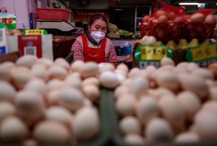 Giappone, prezzi uova in aumento tra influenza e inflazione Giappone, prezzi uova in aumento tra influenza e inflazione